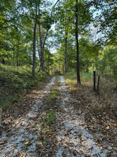 Load image into Gallery viewer, Wood County, WV 116 Acres - $4,000