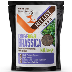 Extreme Forage Brassica - Purple Top Turnips, Vivant Turnips, Forage Rape