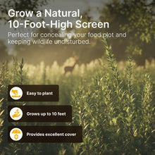 Load image into Gallery viewer, Screening Blend - Food Plot Screen Grows up to 10 Feet Tall