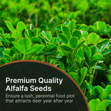 Load image into Gallery viewer, Alfalfa Perennial Food Plot Seed