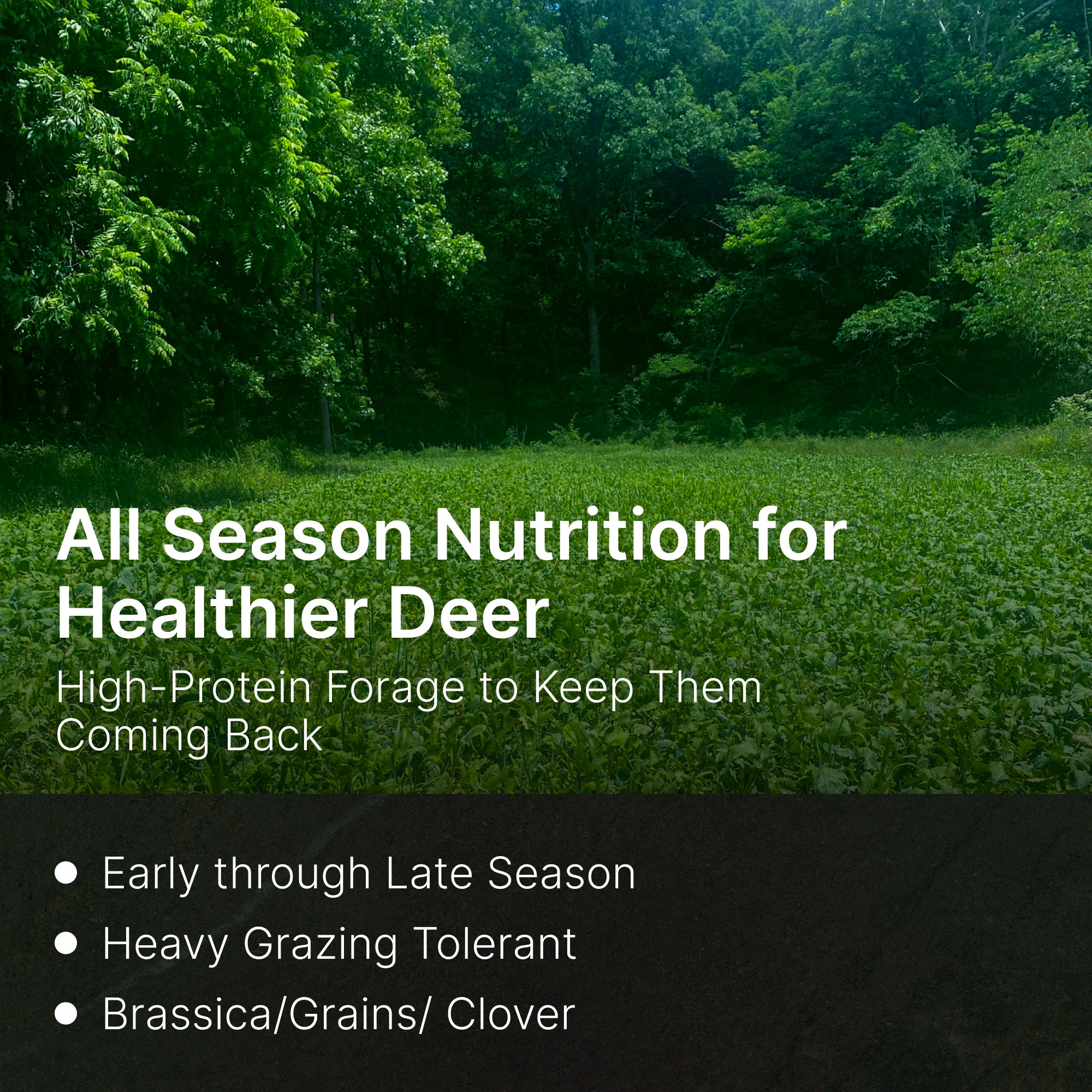 best food plot seed to plant in september Elite 8 Fall Food Plot Blend – Hit List Seed