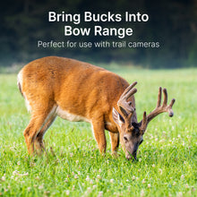 Load image into Gallery viewer, Mock Scrape Starter Deer Attractant – 2 oz Hunting Scent Spray for Mock Scrapes – Whitetail Buck Lure for Pre-Rut, Rut, and All-Season Deer Hunting, UV Protected Bottle