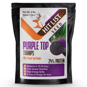 Purple Top Turnips