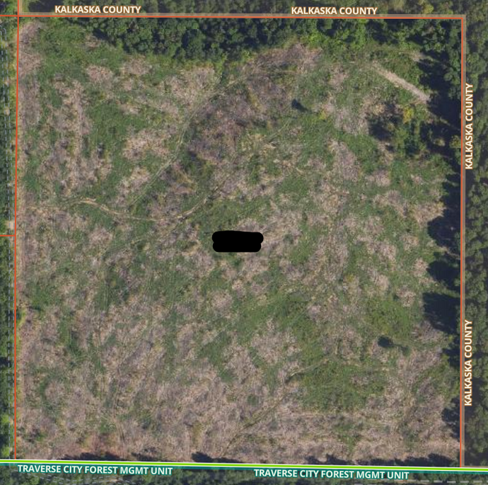 Kalkaska County, MI 40 Acres - $2,000