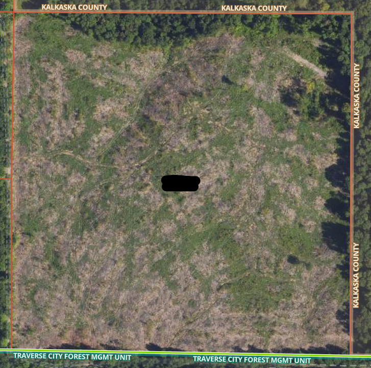 Kalkaska County, MI 40 Acres - $2,000