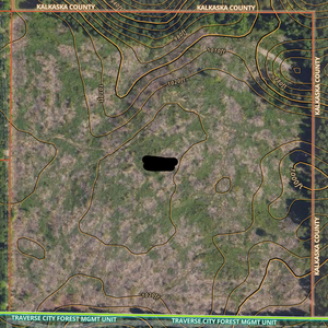 Kalkaska County, MI 40 Acres - $2,000