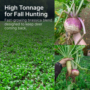 Brassica Blend Food Plot Mix - Turnips, Radish, Forage Rape