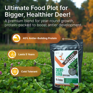 Chicory/Clover Perennial Food Plot Blend (Chicory, Ladino Clover, Red Clover)