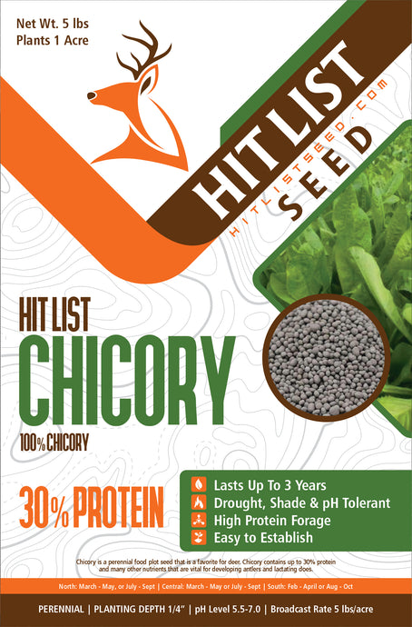 Chicory Perennial Food Plot Seed