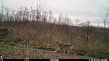 Load image into Gallery viewer, Kalkaska County, MI 40 Acres - $2,000