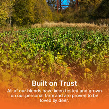 Load image into Gallery viewer, No-Till Food Plot Blend-Clover, Turnip, Radish, Rye, Oats