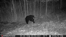 Load image into Gallery viewer, Kalkaska County, MI 40 Acres - $2,000