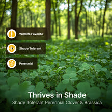 Load image into Gallery viewer, Shade Blend Food Plot Seed - Shade Tolerant - Perennial Clover, Forage Rape, Annual Ryegrass