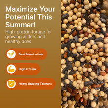 Load image into Gallery viewer, Summer Blend (Soybeans, Sunflowers, Cow Peas, Buckwheat)