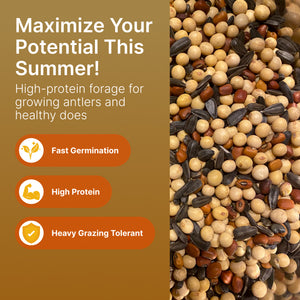 Summer Blend (Soybeans, Sunflowers, Cow Peas, Buckwheat)