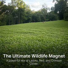 Load image into Gallery viewer, Triple Threat Clover (Ladino Clover, Red Clover, Crimson Clover)