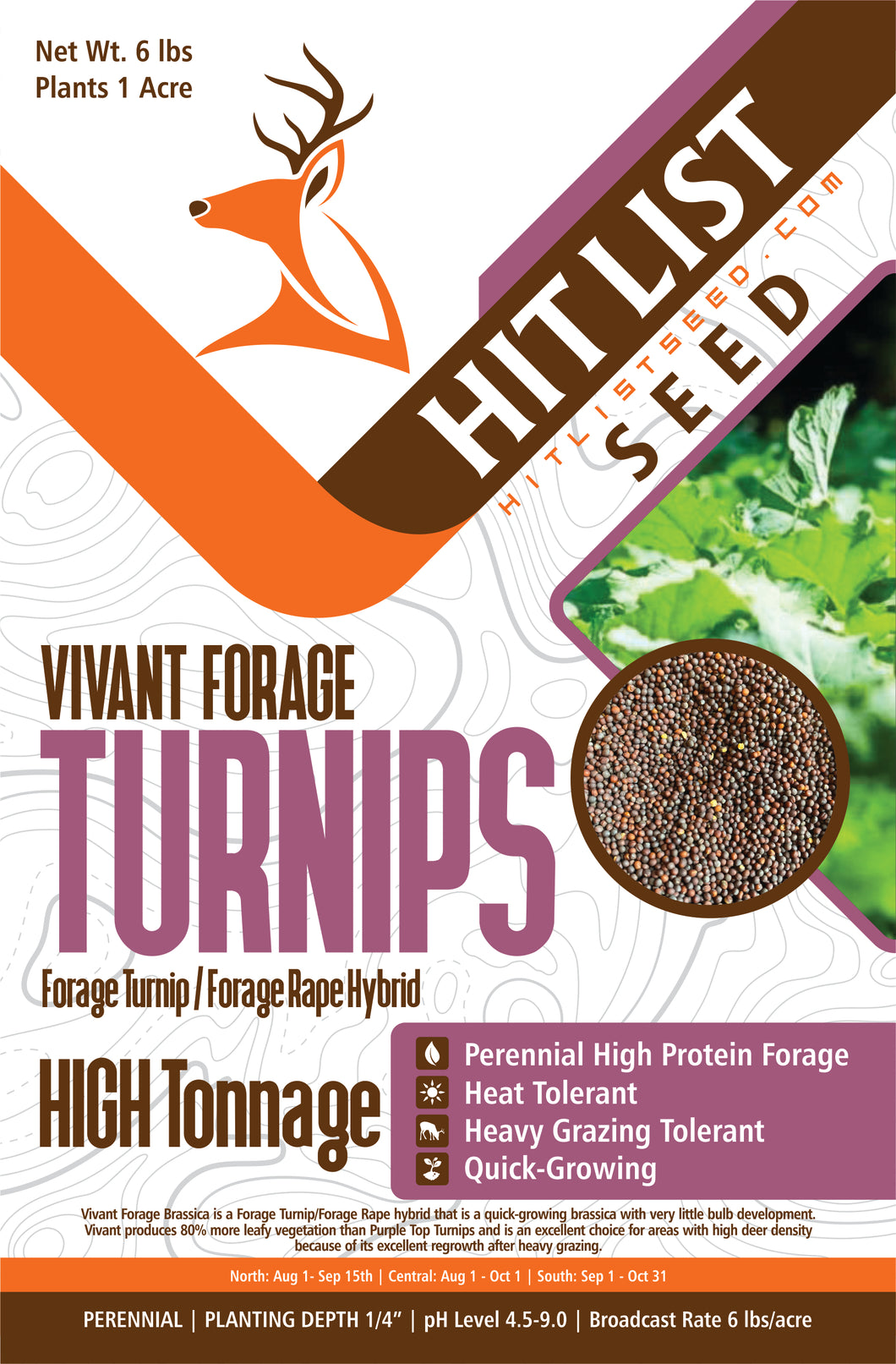 Vivant Hybrid Turnip Forage Brassica