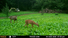 Load image into Gallery viewer, Elite 8 Fall Food Plot Blend